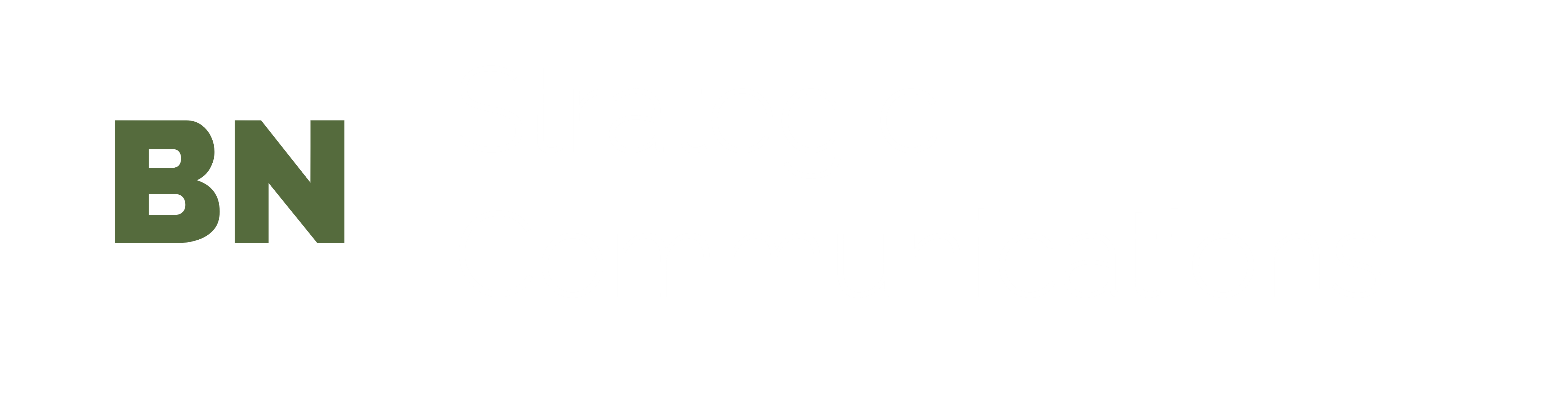 BN Strategic Communications — home